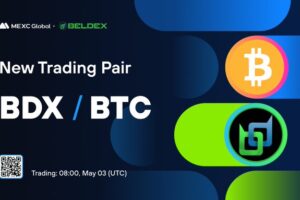 What is Beldex (BDX)