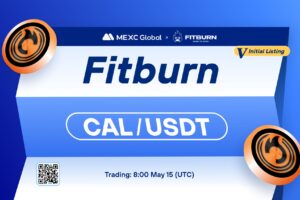 What is FitBurn (CAL)