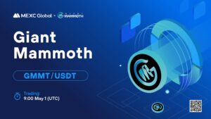 What is Giant Mammoth Chain (GMMT)