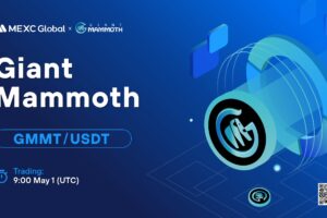 What is Giant Mammoth Chain (GMMT)