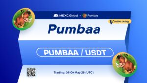 What is Pumbaa Meme Coin (PUMBAA)
