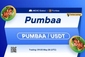 What is Pumbaa Token (PUMBAA)