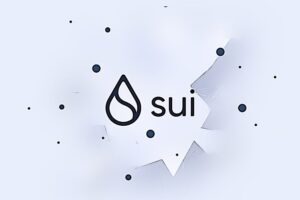 SUI BLOCKCHAIN