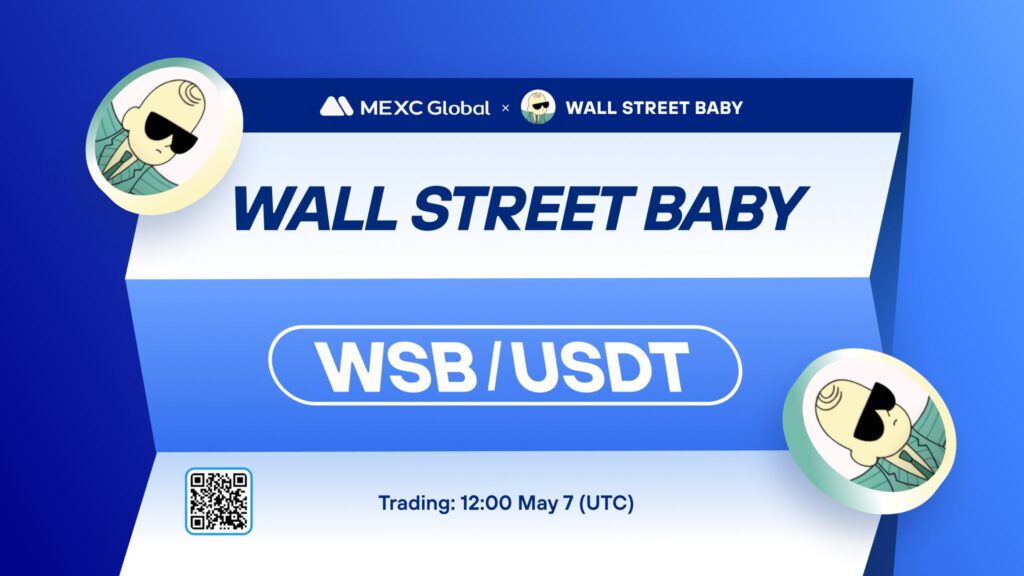 What is Wall Street Baby (WSB)