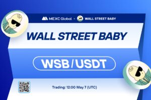 What is Wall Street Baby (WSB)