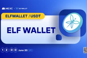 What is Elf Wallet (ELFWALLET)