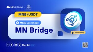 What is MN Bridge (MNB)