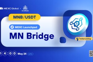 What is MN Bridge (MNB)