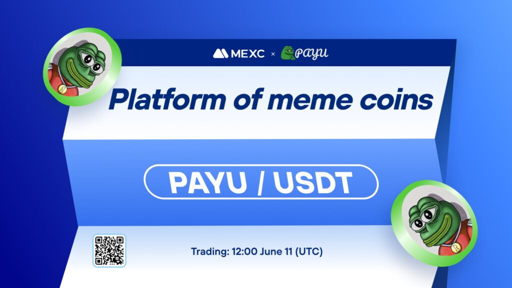 What is the Platform of Meme Coins (PAYU)