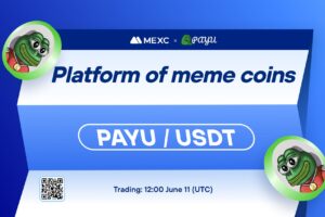 What is the Platform of Meme Coins (PAYU)