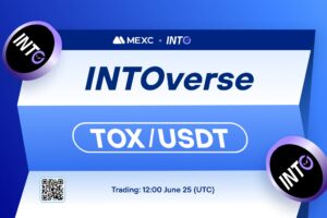 What is INTOverse (TOX)