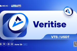 What is Veritise Blockchain (VTS)