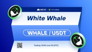 What is White Whale DeFi (WHALE)
