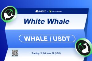 What is White Whale DeFi (WHALE)