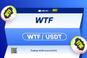 What is WTF Token