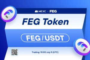 What is FEG Token