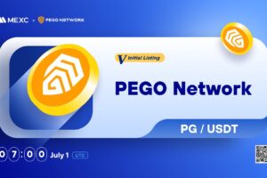 What is PEGO Network (PG)