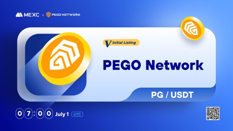 What is PEGO Network (PG)