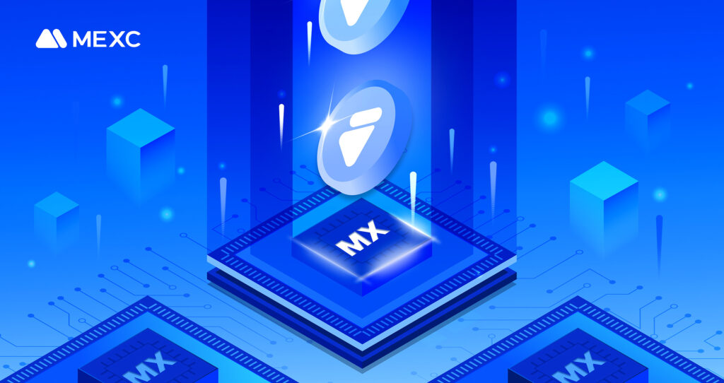 The Untapped Potential of MX Tokens