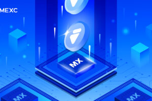 The Untapped Potential of MX Tokens