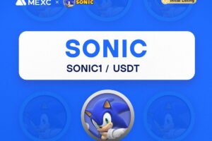 What is SONIC Meme Coin (SONIC1)