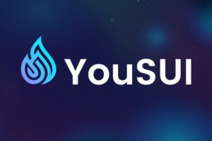 What is YouSUI (XUI)