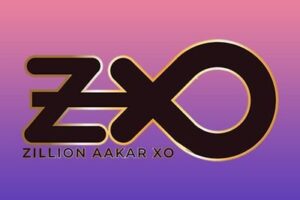 What is Zillion AAKAR XO (ZAX)