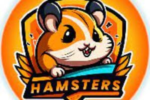 What is HamstersGG (HAMS)