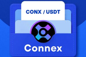 What is Connex (CONX)