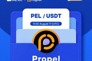 What is Propel (PEL)