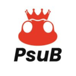 PsuB Token: Revolutionizing Payment Systems in the Digital Economy