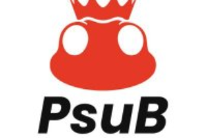 PsuB Token: Revolutionizing Payment Systems in the Digital Economy