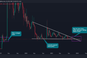 Dogecoin Price Analysis: Recent Decline and What Lies Ahead