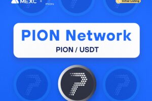 What is Pion Network – A Canary Network for Muon Network (PION)