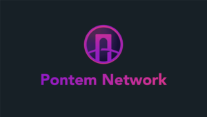 Building Consensus in Blockchain Upgrades: The Pontem Network Example