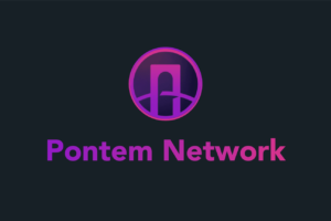 Building Consensus in Blockchain Upgrades: The Pontem Network Example