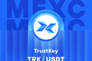 What is TrustKey – A Web3 Wallet Payment Platform (TRK)