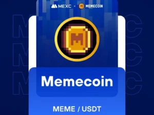 What is Memecoin - The Unique Fusion of Meme Culture and NFTs (MEME)