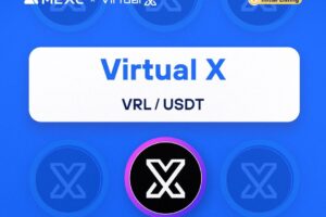 What is Virtual X – Blockchain-Powered Mobile Network (VRL)