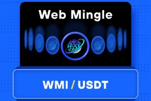 What is WebMingle – Infrastructures For a Decentralized Network (WMI)