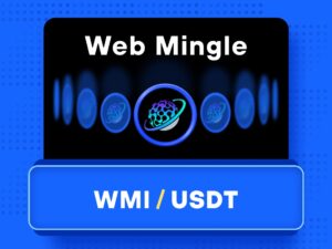 What is WebMingle - Infrastructures For a Decentralized Network (WMI)
