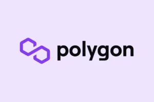 Polygon’s Market Cap Soars by Over Half in Three Weeks