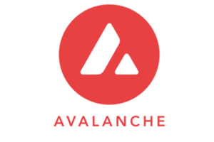 Avalanche Foundation Dives into Memecoins: Expanding the Horizon of Crypto Investments