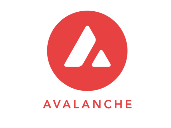 Avalanche Foundation Dives into Memecoins: Expanding the Horizon of Crypto Investments