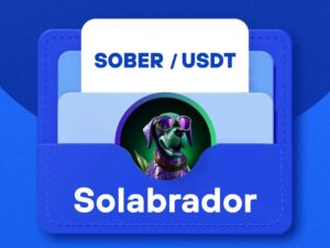What is Solabrador - A Whoooof Memecoin On the Solana Blockchain (SOBER)