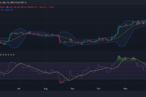 Small Bitcoin Wallets Reach Record Holdings; Whales Dominate Market