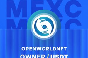 What is Open World NFT – A Decentralized NFT Marketplace (OWNER)