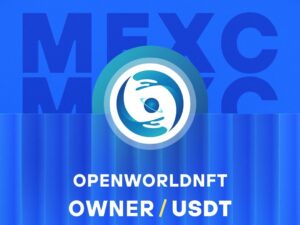What is Open World NFT - A Decentralized NFT Marketplace (OWNER)