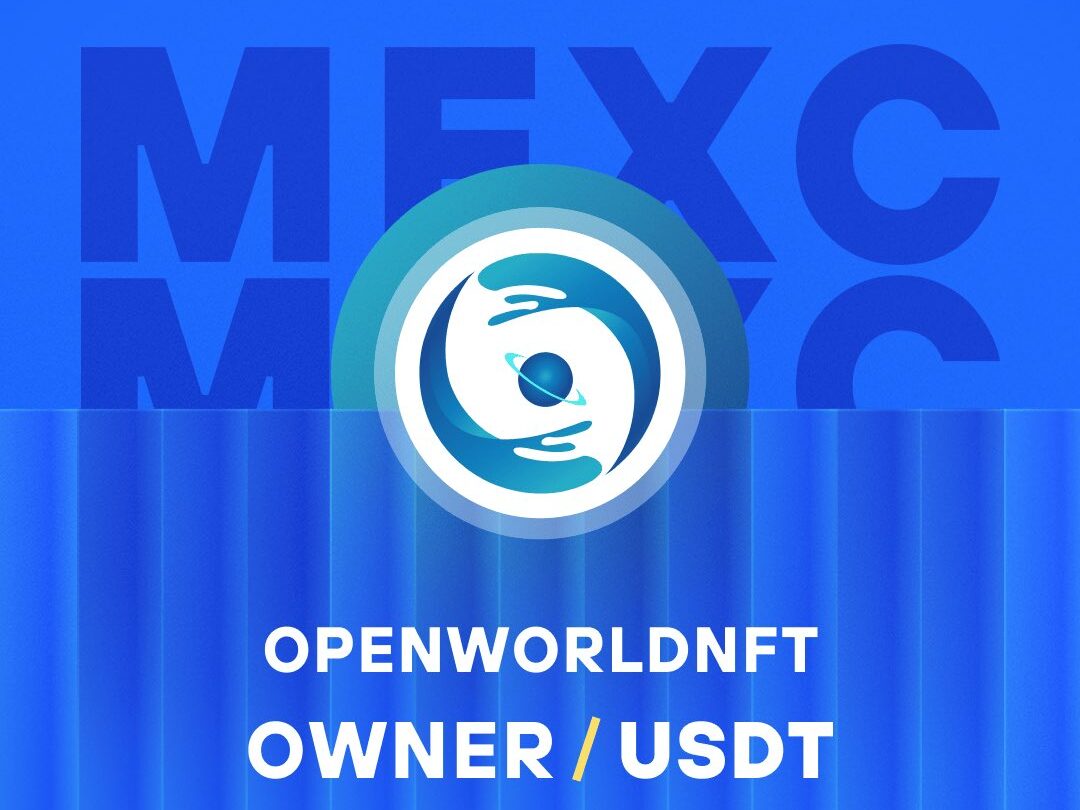 What is Open World NFT - A Decentralized NFT Marketplace (OWNER)