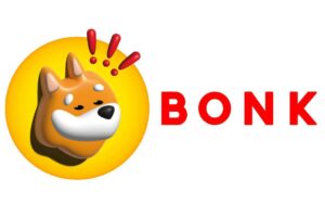 A Love Story in the Crypto Kingdom: King BONK and the Enchanting BONKA